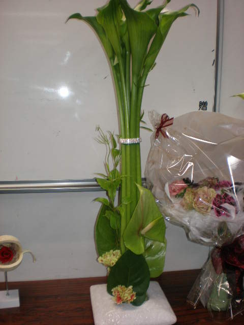 d0149630_8101475.jpg