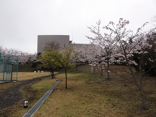 また同じゴルフ場へ(4月10日）_c0147935_21181795.jpg