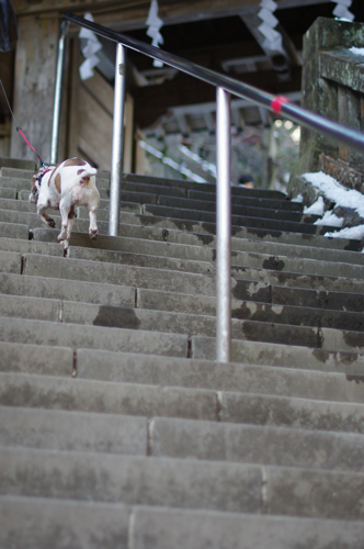 榛名神社へ_e0144545_1432528.jpg