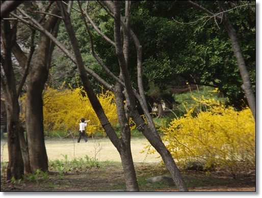 　　　　　　　　　　　　　　　　　　　　　　　　　　　昭和記念公園・・続き_d0075453_115426100.jpg