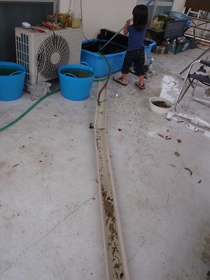 c0180460_17542747.jpg