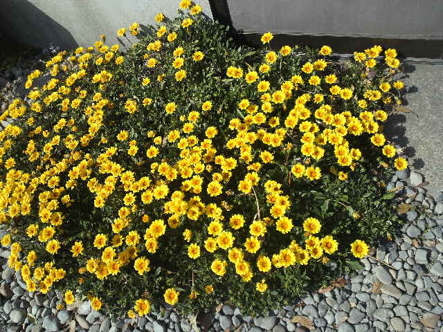 c0147261_21221692.jpg