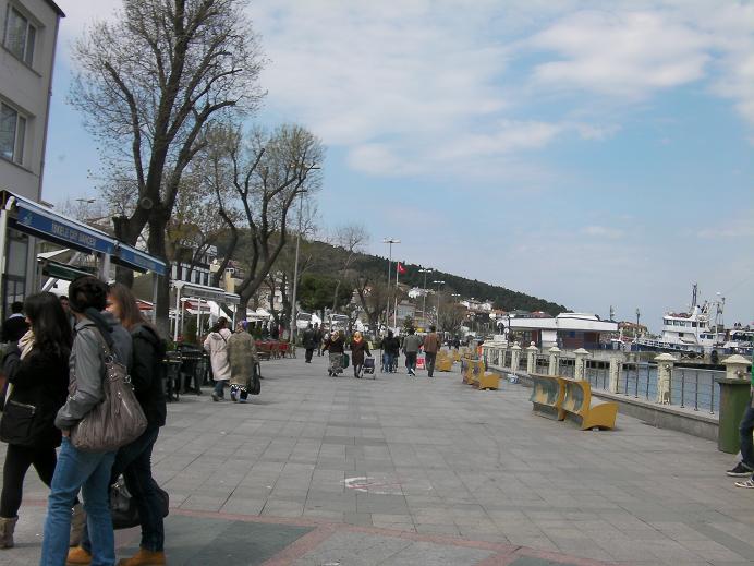 d0183861_2553336.jpg