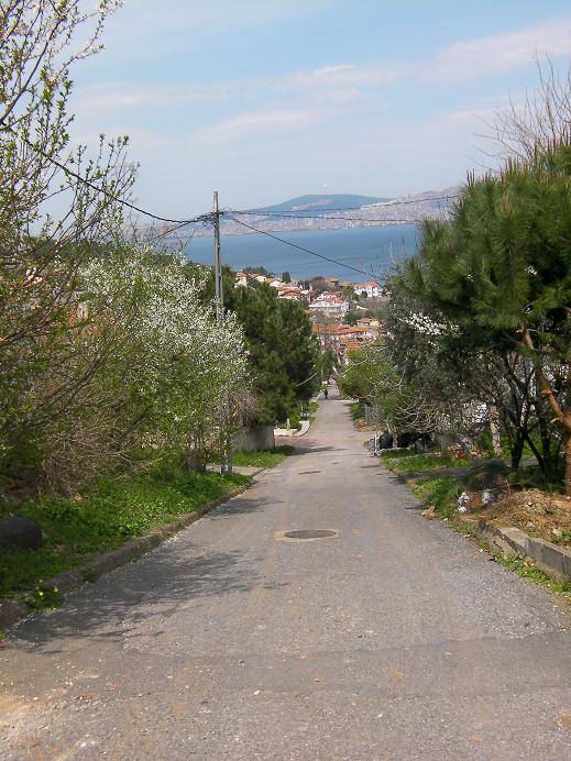 d0183861_3342422.jpg