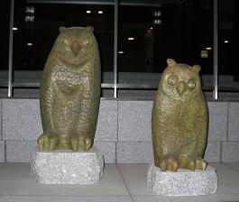 f0139963_2341220.jpg