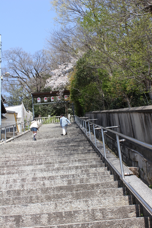 春ってあっという間～阿智神社も春だった。あたりまえか。。～_e0221465_1641195.jpg