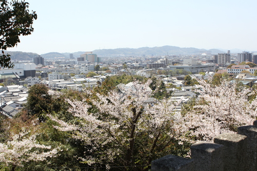 春ってあっという間～阿智神社も春だった。あたりまえか。。～_e0221465_16473318.jpg