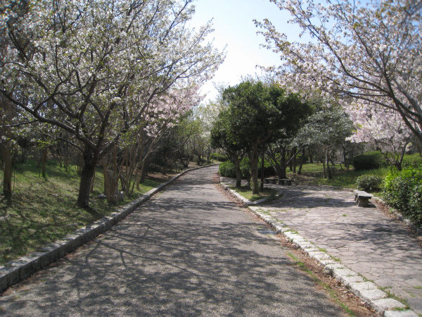b0191670_0142439.jpg