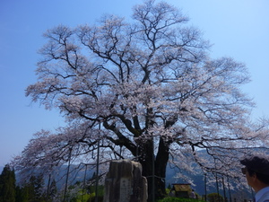 c0216472_22315099.jpg
