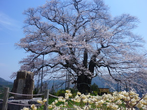 c0216472_22315926.jpg
