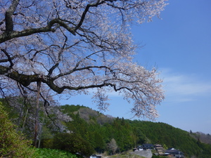 c0216472_22322133.jpg