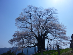 c0216472_22323045.jpg