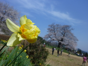 c0216472_2232665.jpg