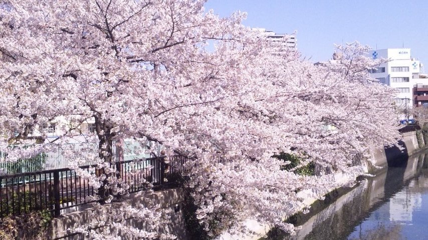 c0154876_19515312.jpg