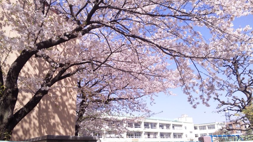 c0154876_19522763.jpg