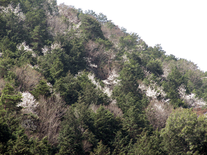b0159780_23412549.gif