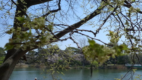 e0024081_1658233.jpg