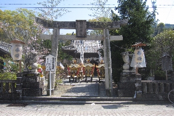 f0003283_17953.jpg