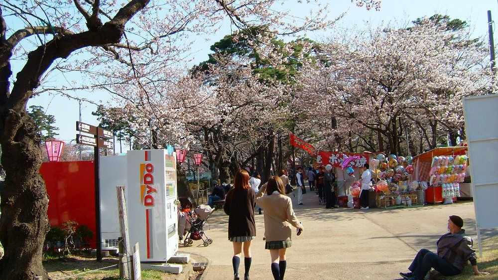 高田城址公園の桜!_e0065084_20342094.jpg
