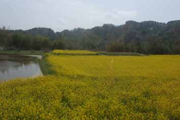 房総　小湊鉄道の旅_f0182885_16144486.jpg