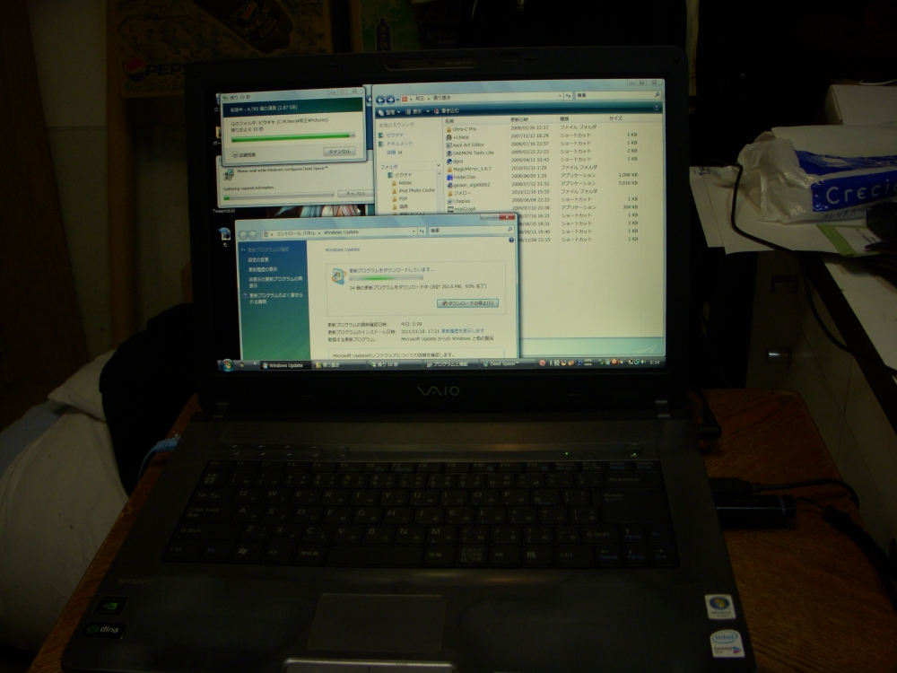 d0174489_31557.jpg