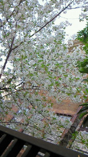 d0030693_2031168.jpg
