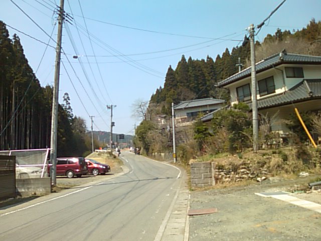 地表に現れた井戸沢断層_e0068696_2173719.jpg