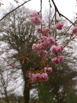 b0110999_3653.jpg