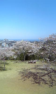 a0013905_0162893.jpg
