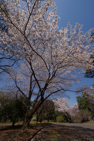 c0156908_854249.jpg