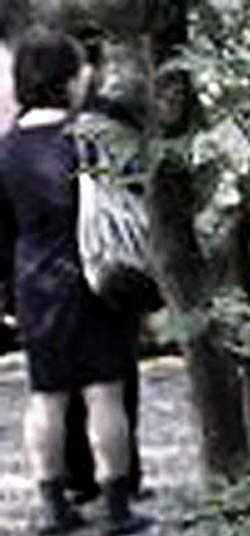 e0103408_1720111.jpg