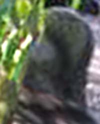 e0103408_172029100.jpg