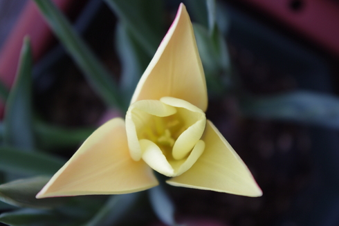 c0147909_10521073.jpg