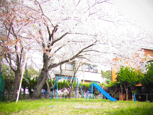 d0051613_11552260.gif