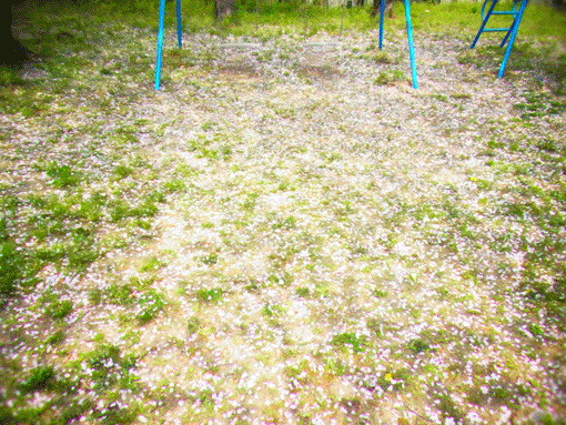 d0051613_1155284.gif