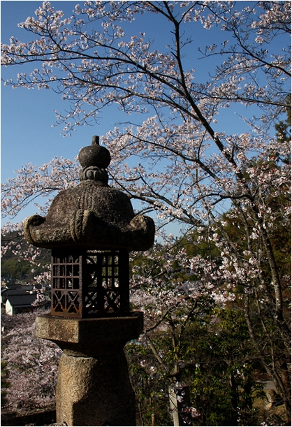 眼鏡橋のある景色_c0100214_195124.jpg