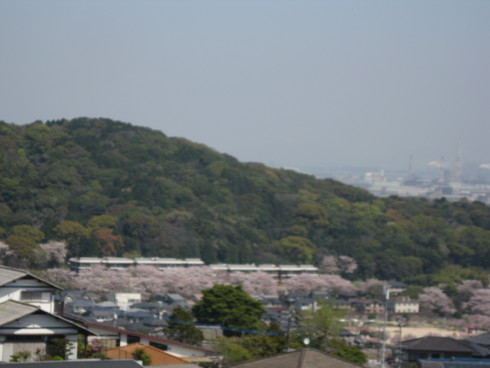 a0125419_15152682.jpg