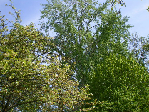c0124619_2384698.jpg