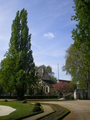 c0124619_2413297.jpg