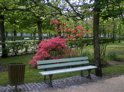 c0124619_2464132.jpg