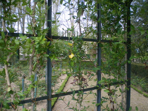 c0124619_248733.jpg