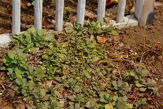 f0170524_12113261.jpg