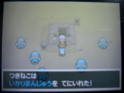 ポケットモンスターブラック縛りプレイ（技マシン回収）_a0120525_22332422.jpg