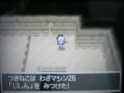 ポケットモンスターブラック縛りプレイ（技マシン回収）_a0120525_2236195.jpg