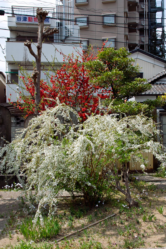 c0223825_28678.jpg
