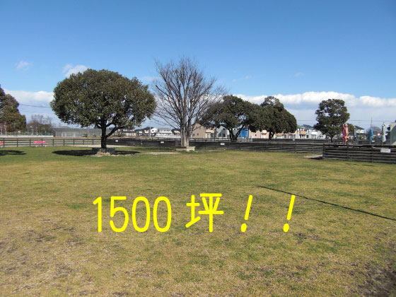a0190132_2144038.jpg