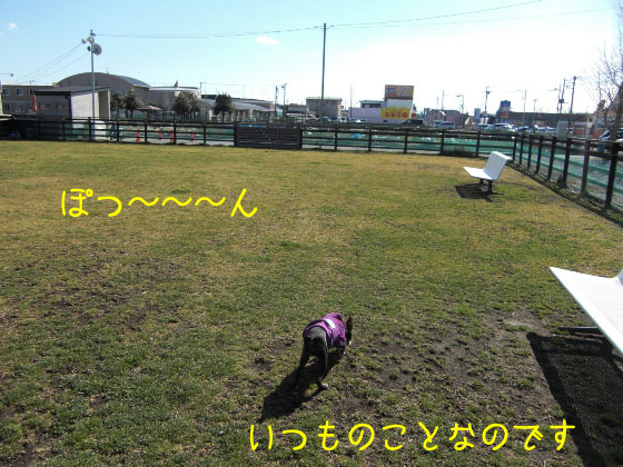 a0190132_21443222.jpg