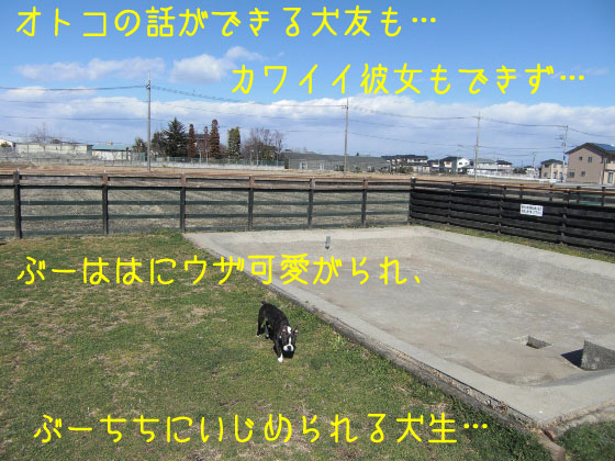 a0190132_2145147.jpg