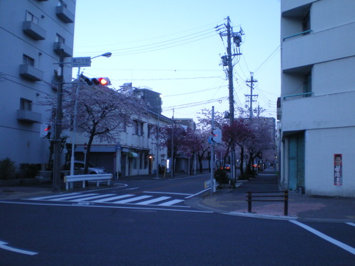 d0208032_22144328.jpg