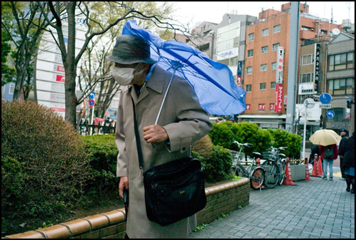 La vision du coin de rue「Tokyo」　by塾長_b0142435_8493298.jpg